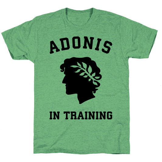 Adonis In Training Unisex Triblend Tee