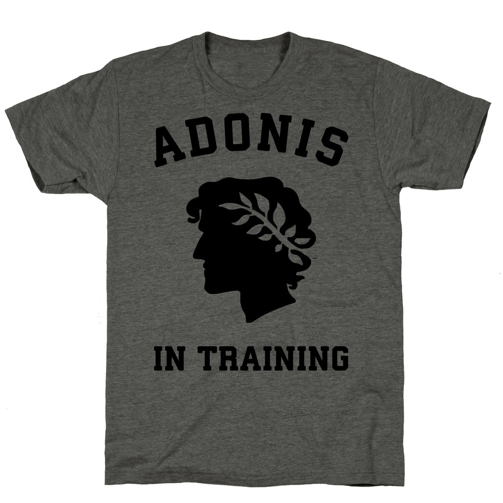Adonis In Training Unisex Triblend Tee