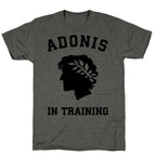 Adonis In Training Unisex Triblend Tee