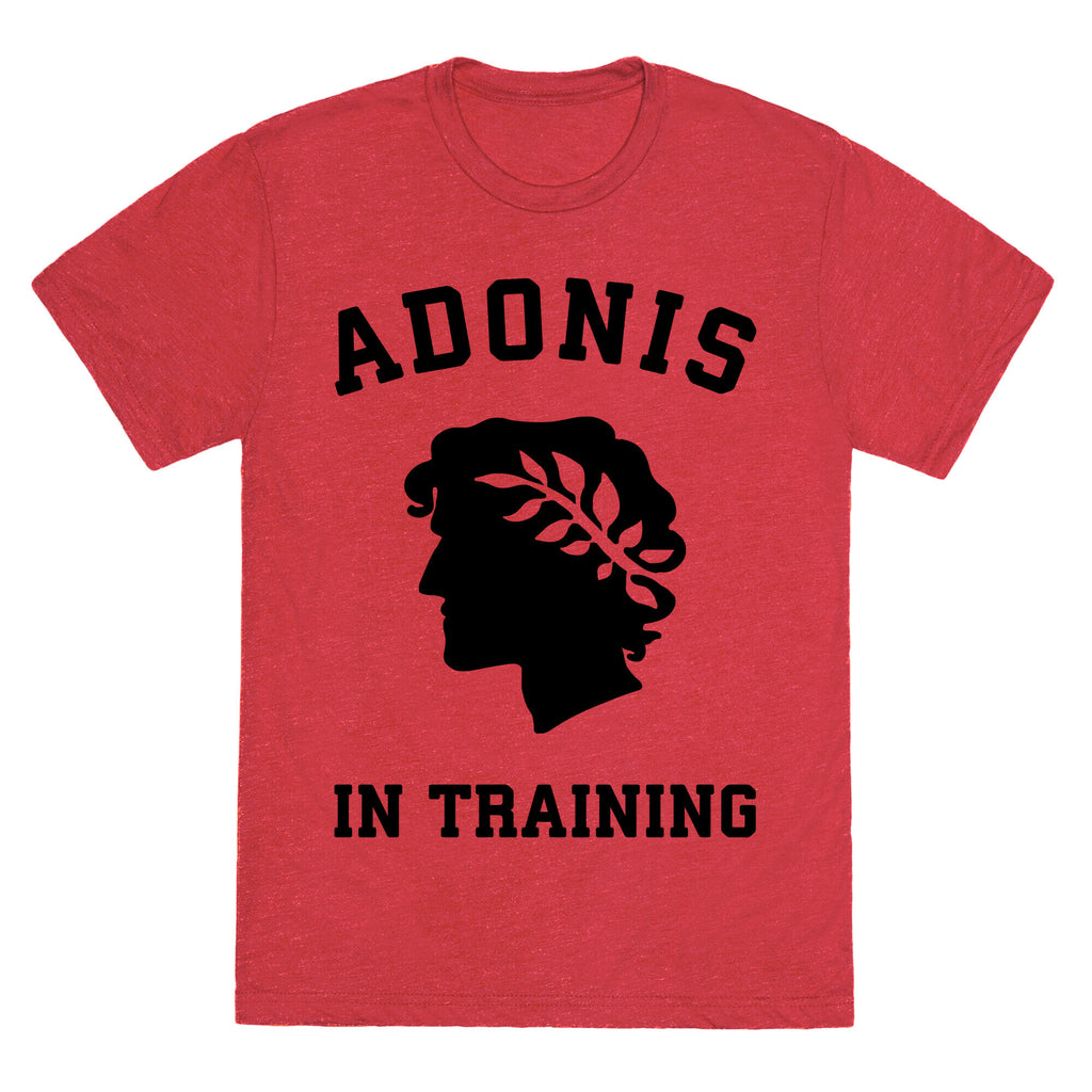 Adonis In Training Unisex Triblend Tee