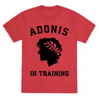 Adonis In Training Unisex Triblend Tee
