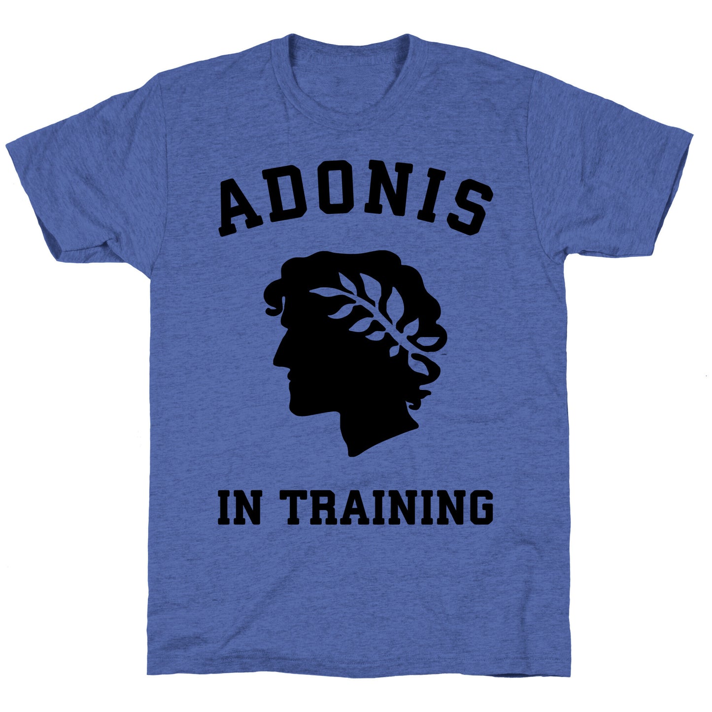 Adonis In Training Unisex Triblend Tee
