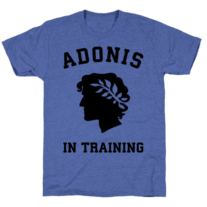 Adonis In Training Unisex Triblend Tee