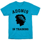Adonis In Training Unisex Triblend Tee