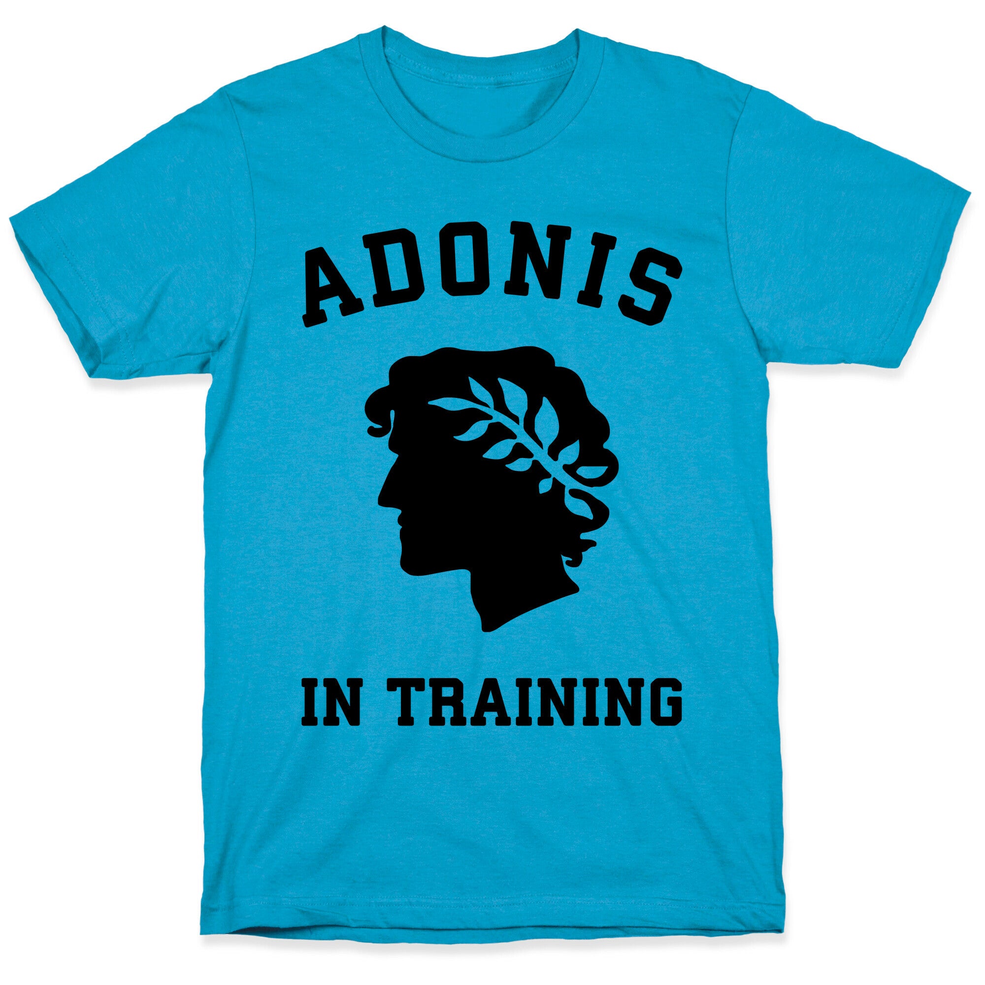 Adonis In Training Unisex Triblend Tee