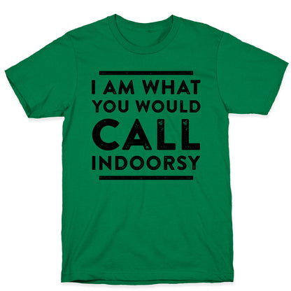 I Am What You Would Call Indoorsy T-Shirt