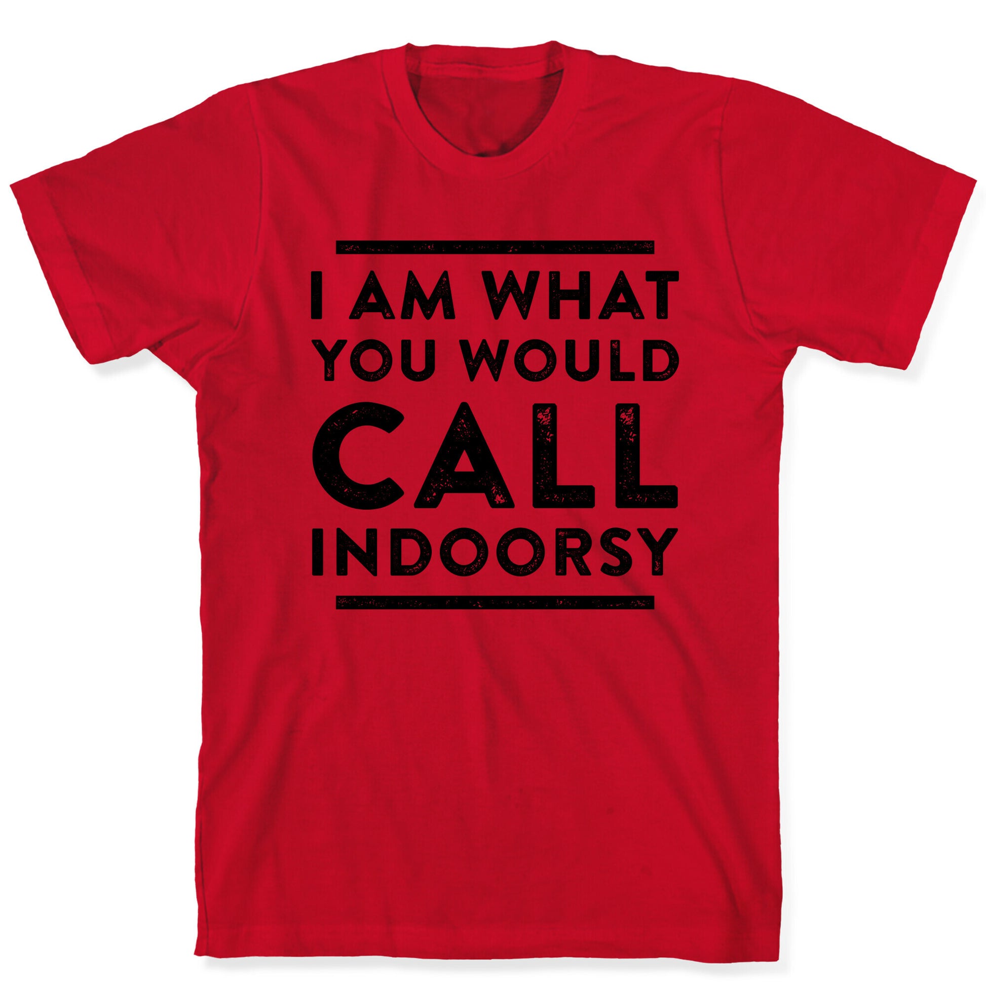 I Am What You Would Call Indoorsy T-Shirt