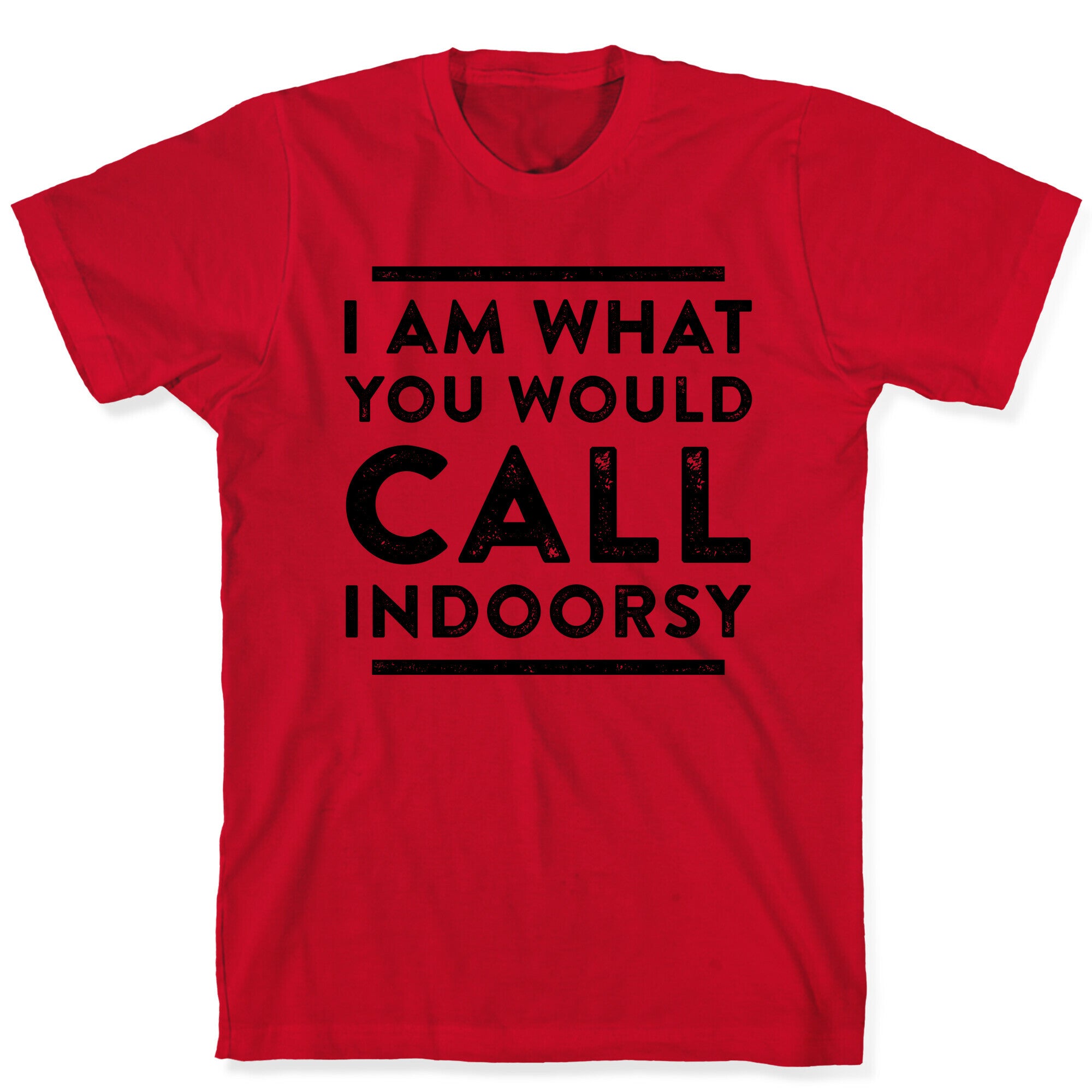 I Am What You Would Call Indoorsy T-Shirt