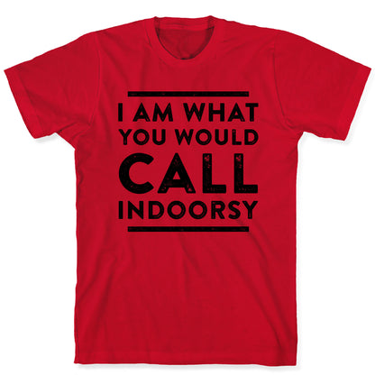 I Am What You Would Call Indoorsy T-Shirt