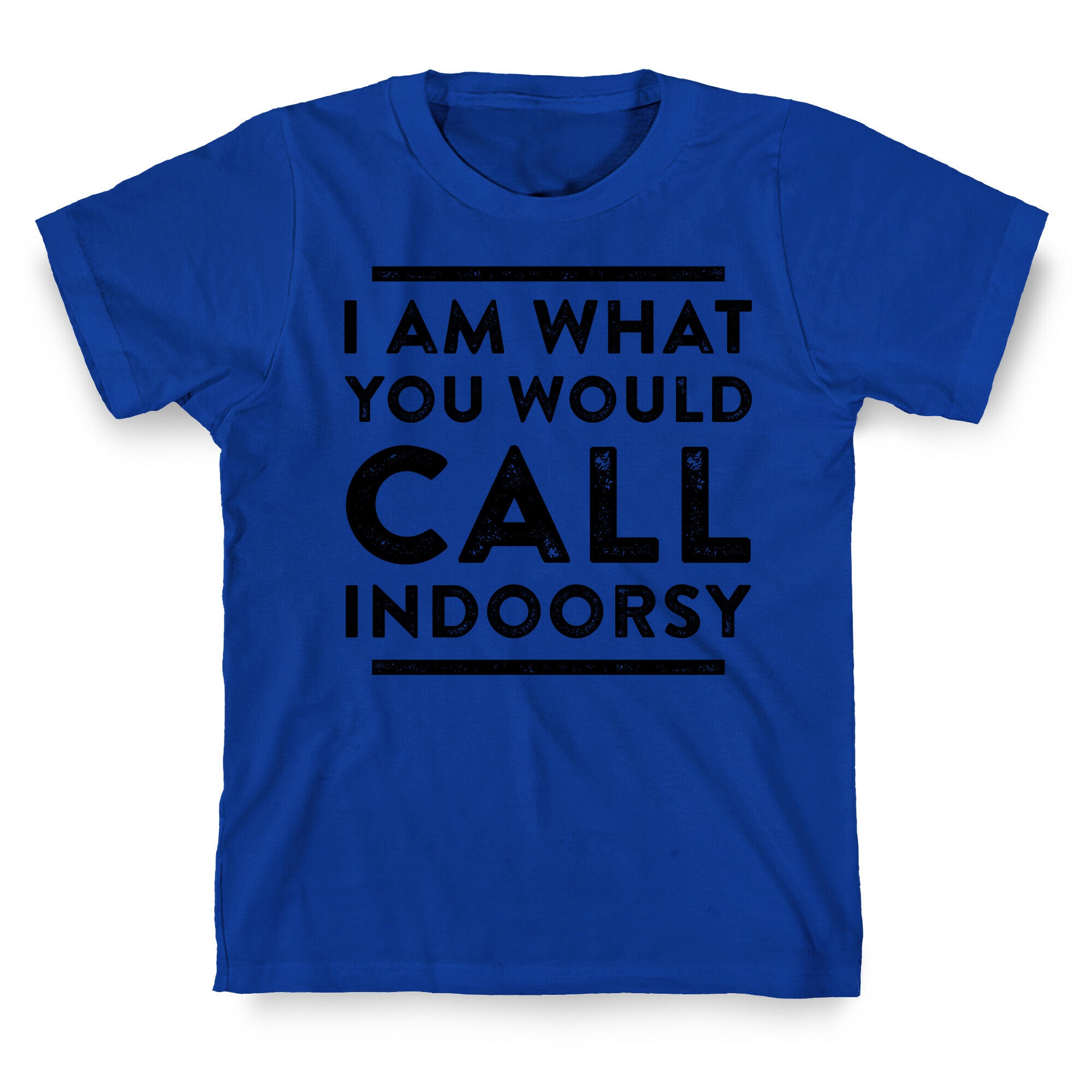 I Am What You Would Call Indoorsy T-Shirt