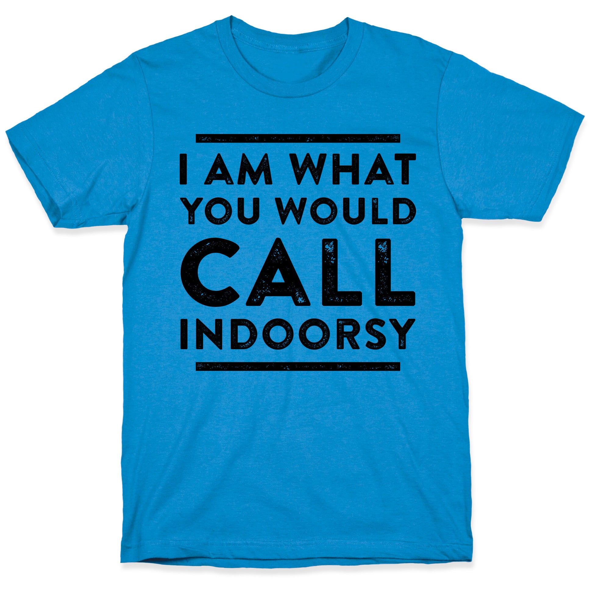 I Am What You Would Call Indoorsy T-Shirt
