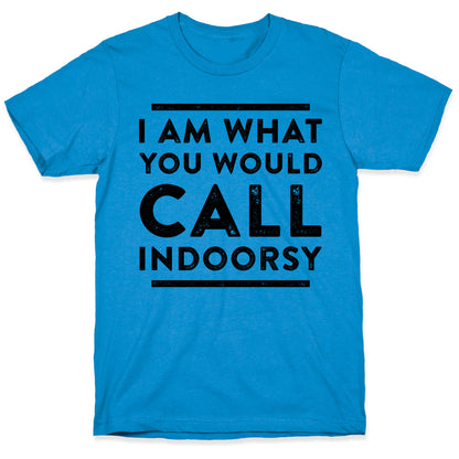 I Am What You Would Call Indoorsy T-Shirt