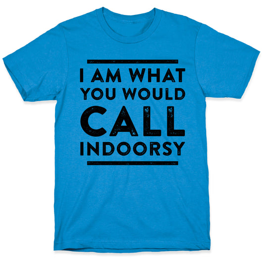 I Am What You Would Call Indoorsy T-Shirt