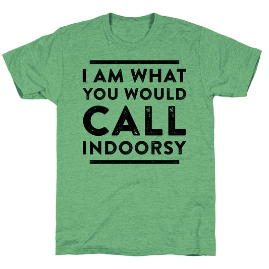 I Am What You Would Call Indoorsy Unisex Triblend Tee