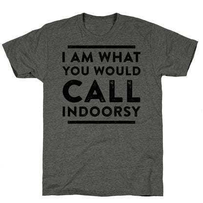 I Am What You Would Call Indoorsy Unisex Triblend Tee