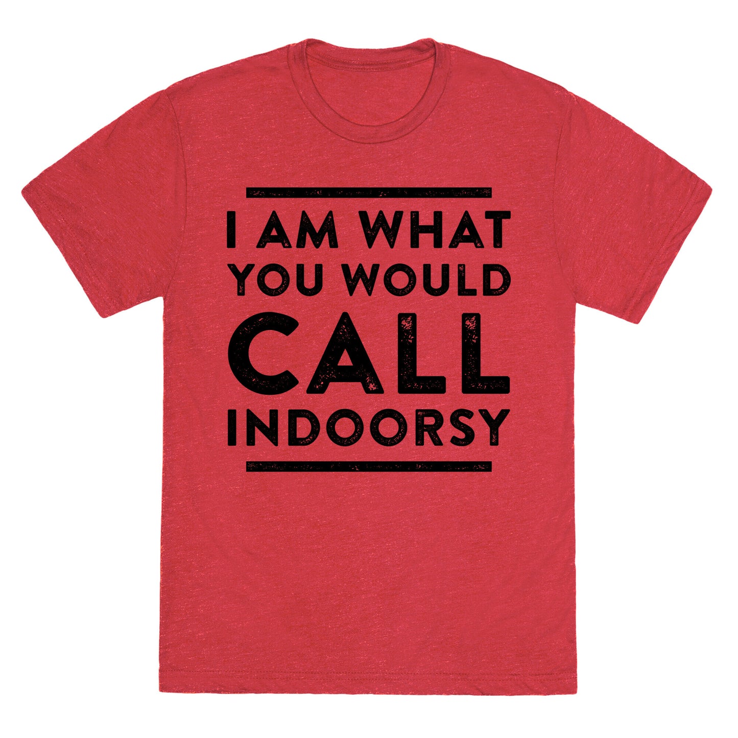 I Am What You Would Call Indoorsy Unisex Triblend Tee