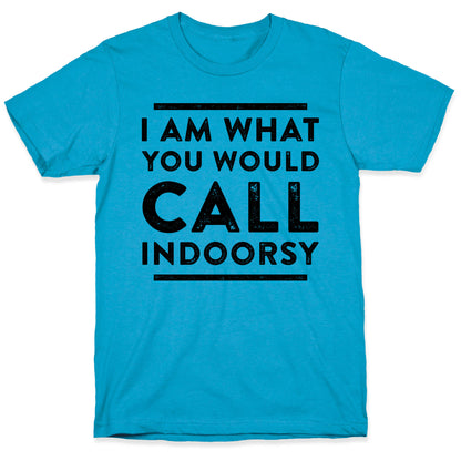 I Am What You Would Call Indoorsy Unisex Triblend Tee
