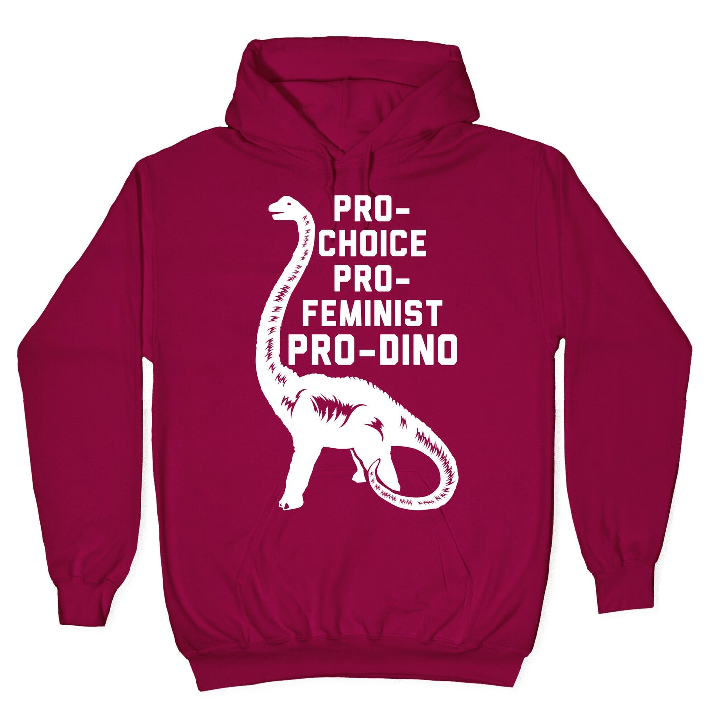 Pro-Choice Pro-Feminist Pro-Dino Hoodie