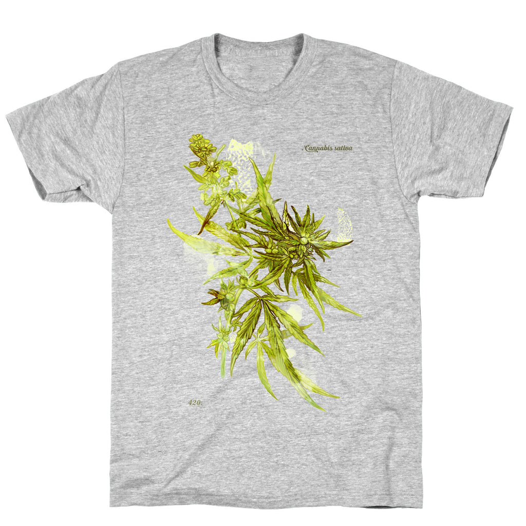 Cannabis Botanical Illustration T-Shirt