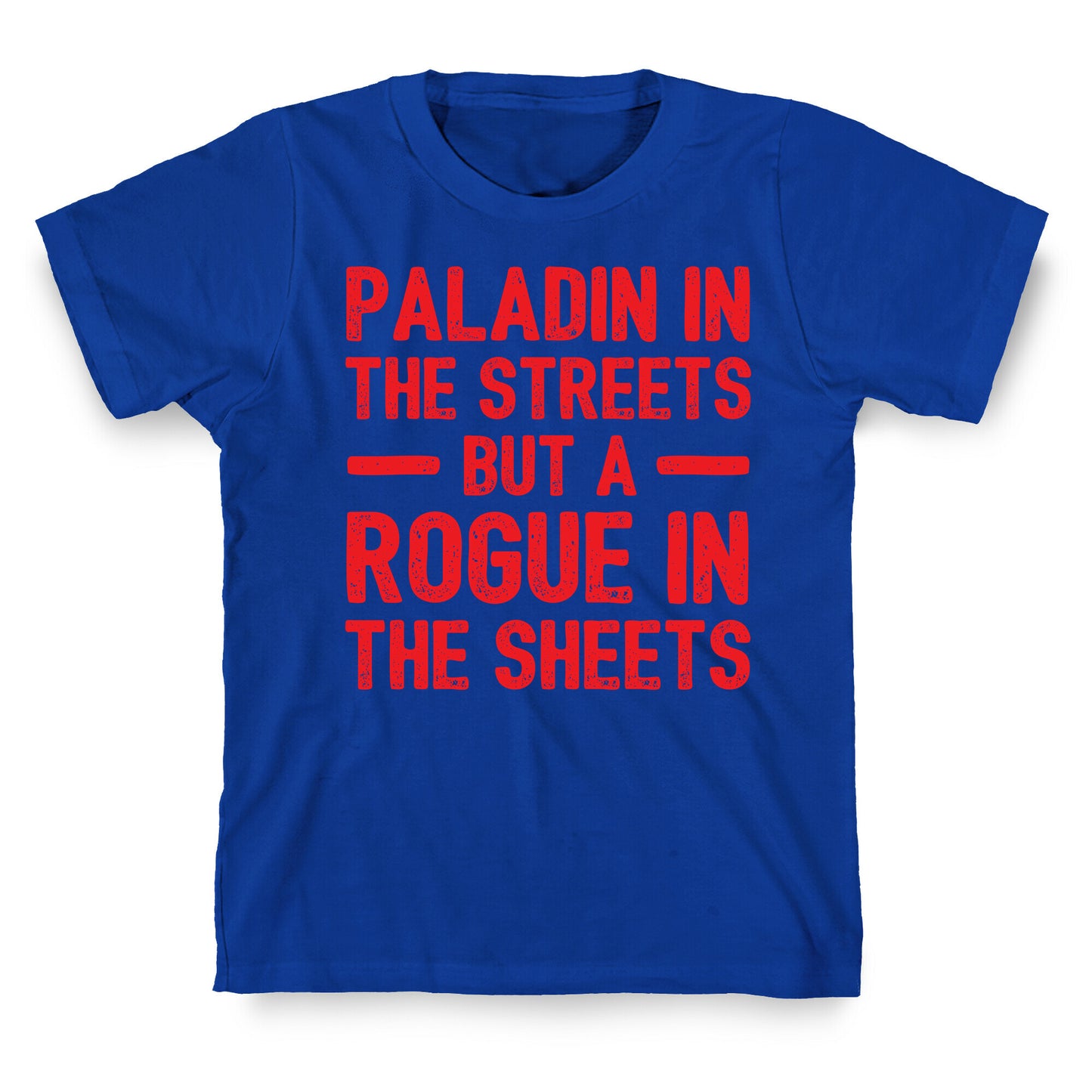 Paladin In The Streets But A Rogue In The Sheets T-Shirt