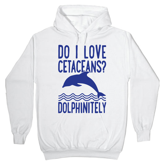 Dolphinitely Hoodie