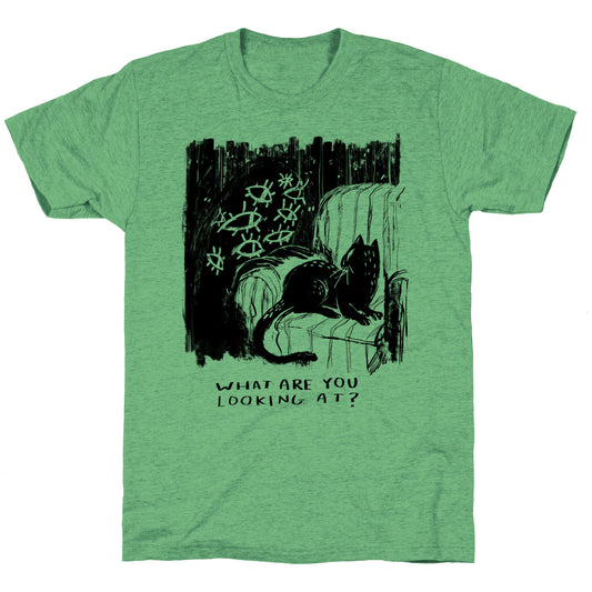 What Are You Looking At? Unisex Triblend Tee