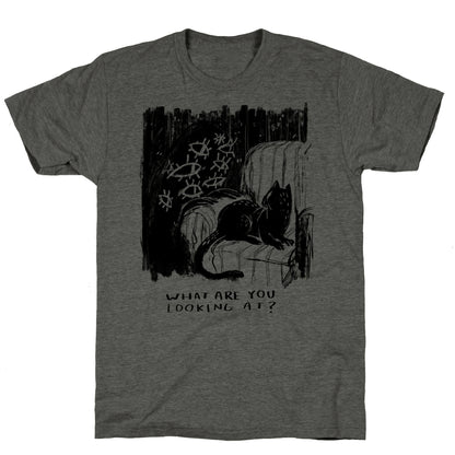 What Are You Looking At? Unisex Triblend Tee