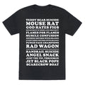 Andy Dwyer Band Names Unisex Triblend Tee