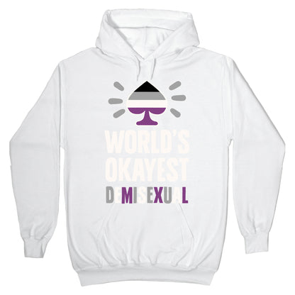 World's Okayest Demisexual Hoodie