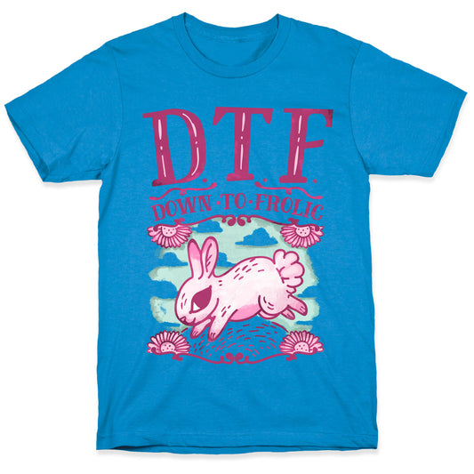 DTF Down to Frolic T-Shirt