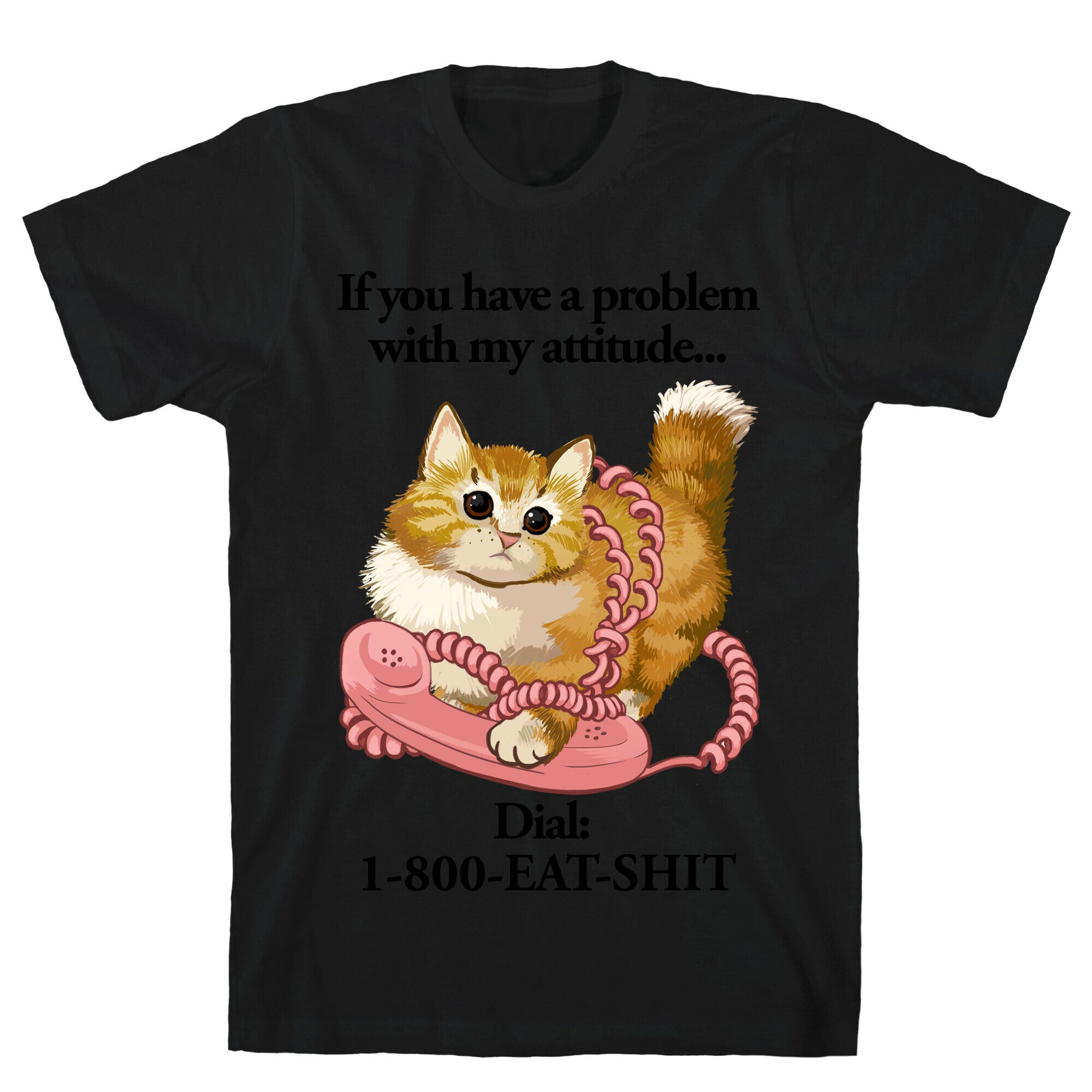 If You Have a Problem with My Attitude... T-Shirt