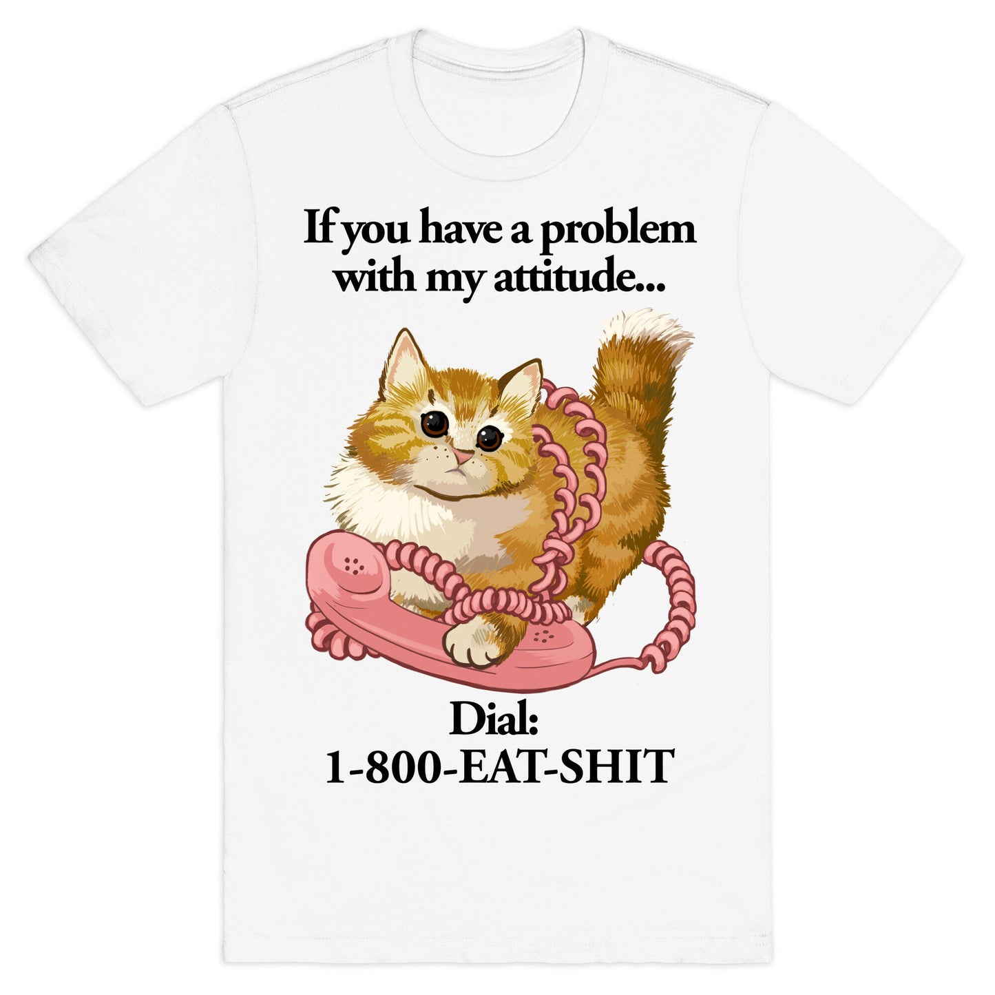 If You Have a Problem with My Attitude... T-Shirt
