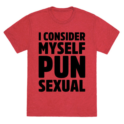 I Consider Myself PUN-Sexual Unisex Triblend Tee