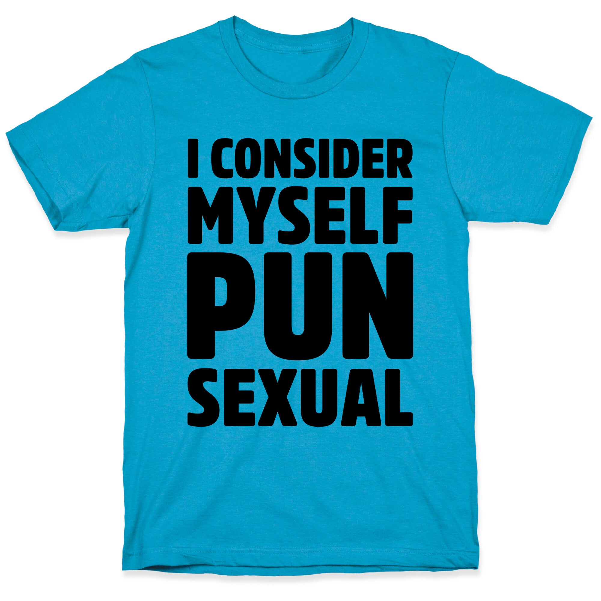 I Consider Myself PUN-Sexual Unisex Triblend Tee