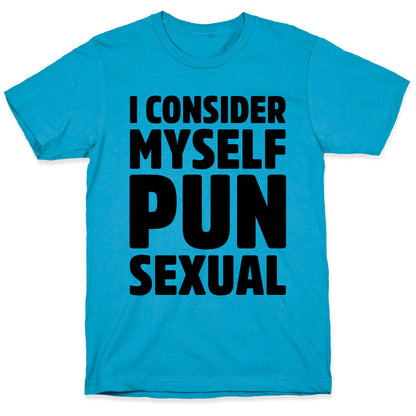 I Consider Myself PUN-Sexual Unisex Triblend Tee