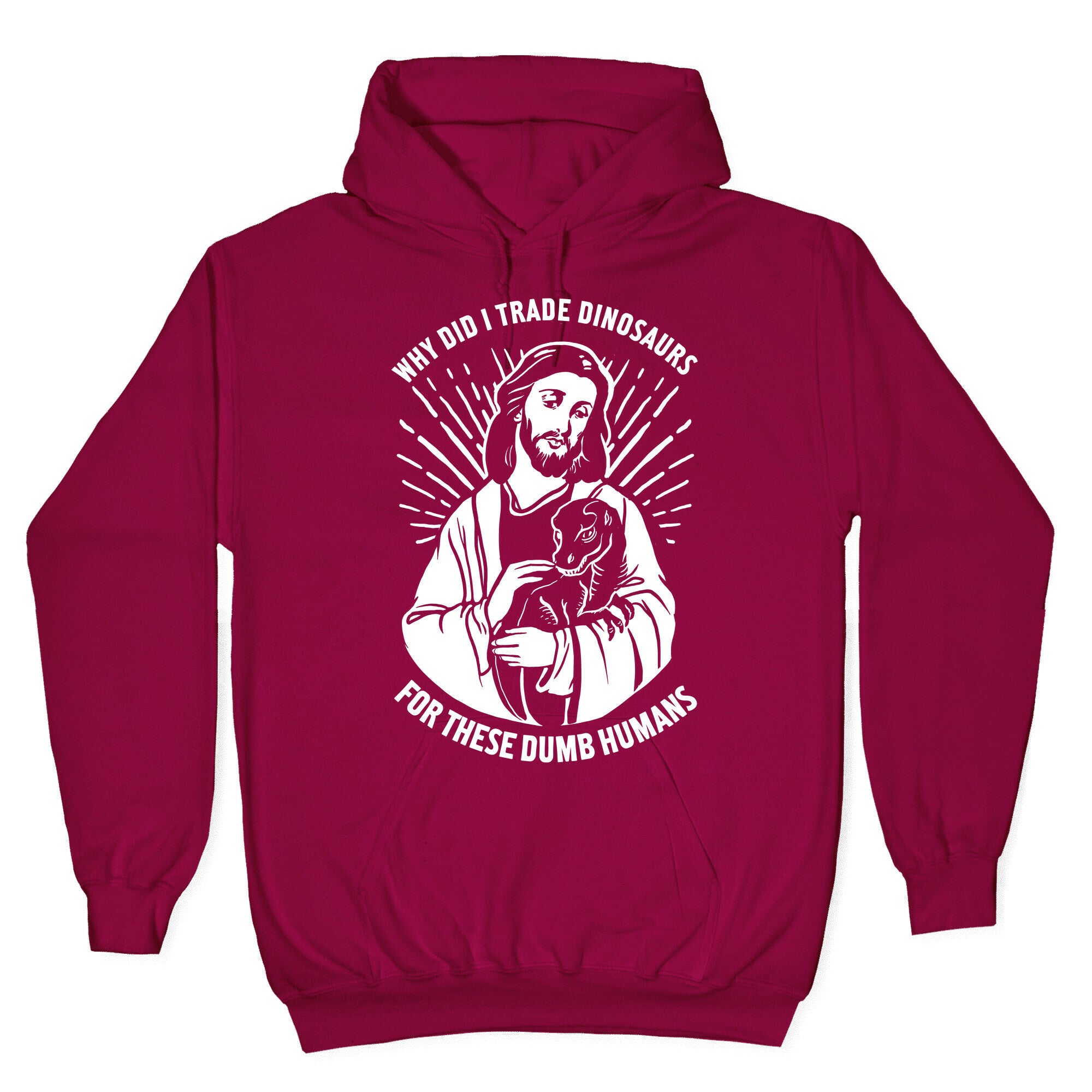 Why Did I Trade Dinosaurs For These Dumb Humans Hoodie