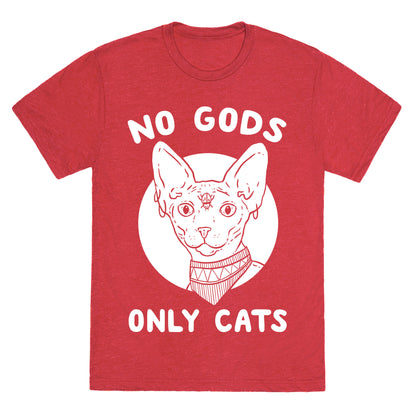 No Gods Only Cats Unisex Triblend Tee