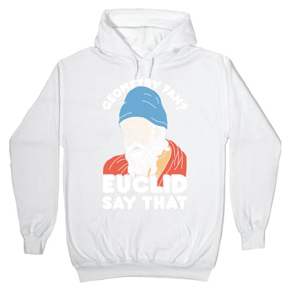 Geometry Fan? Euclid Say That Hoodie