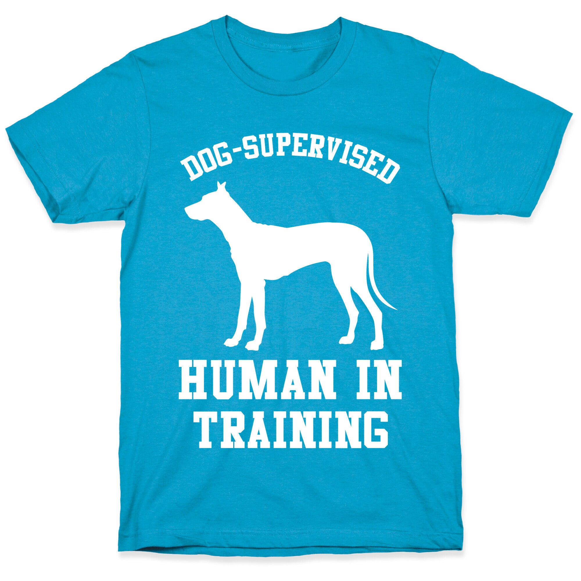 Dog Supervised Human in Training Unisex Triblend Tee