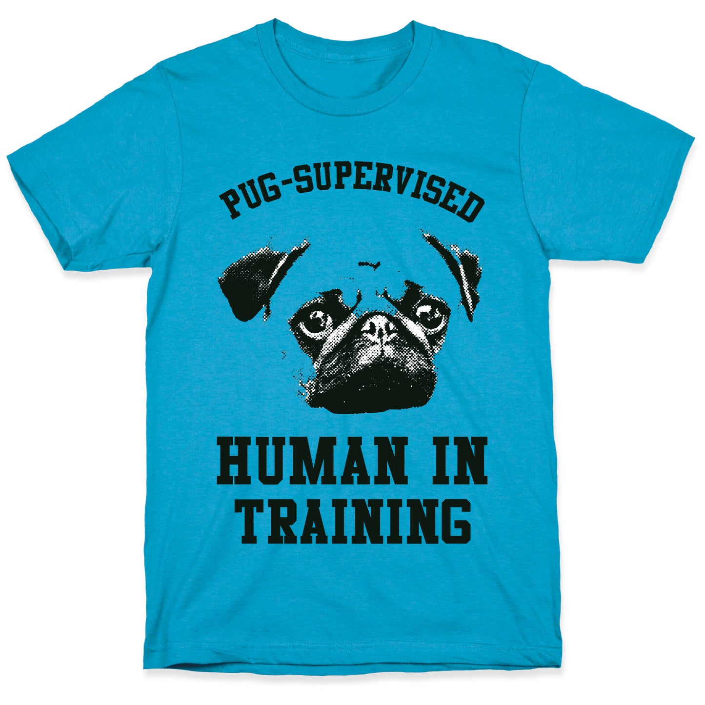 Pug Supervised Human in Training Unisex Triblend Tee