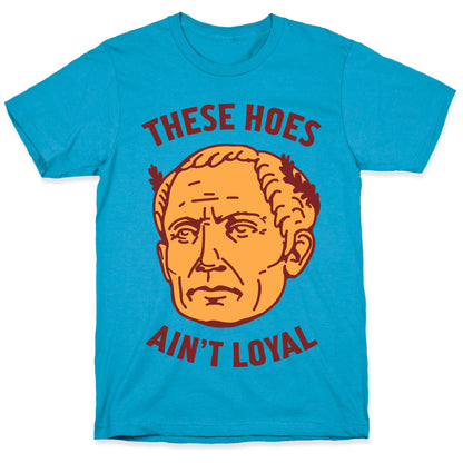 These Hoes Ain't Loyal Julius Caesar Unisex Triblend Tee