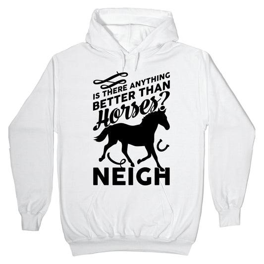 Is There Anything Better Than Horses Hoodie