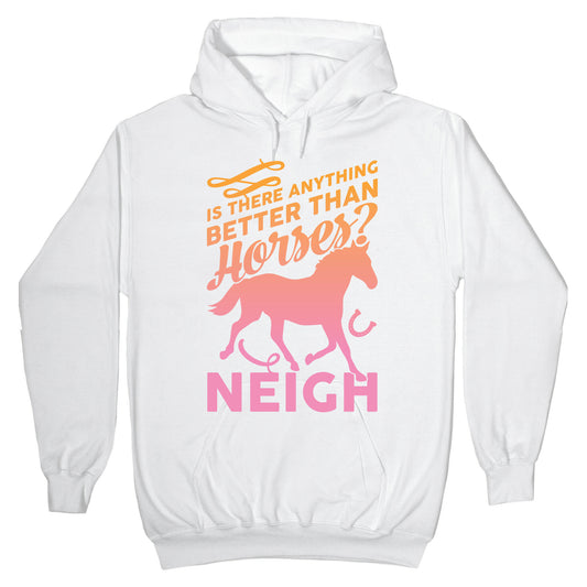Is There Anything Better Than Horses Hoodie