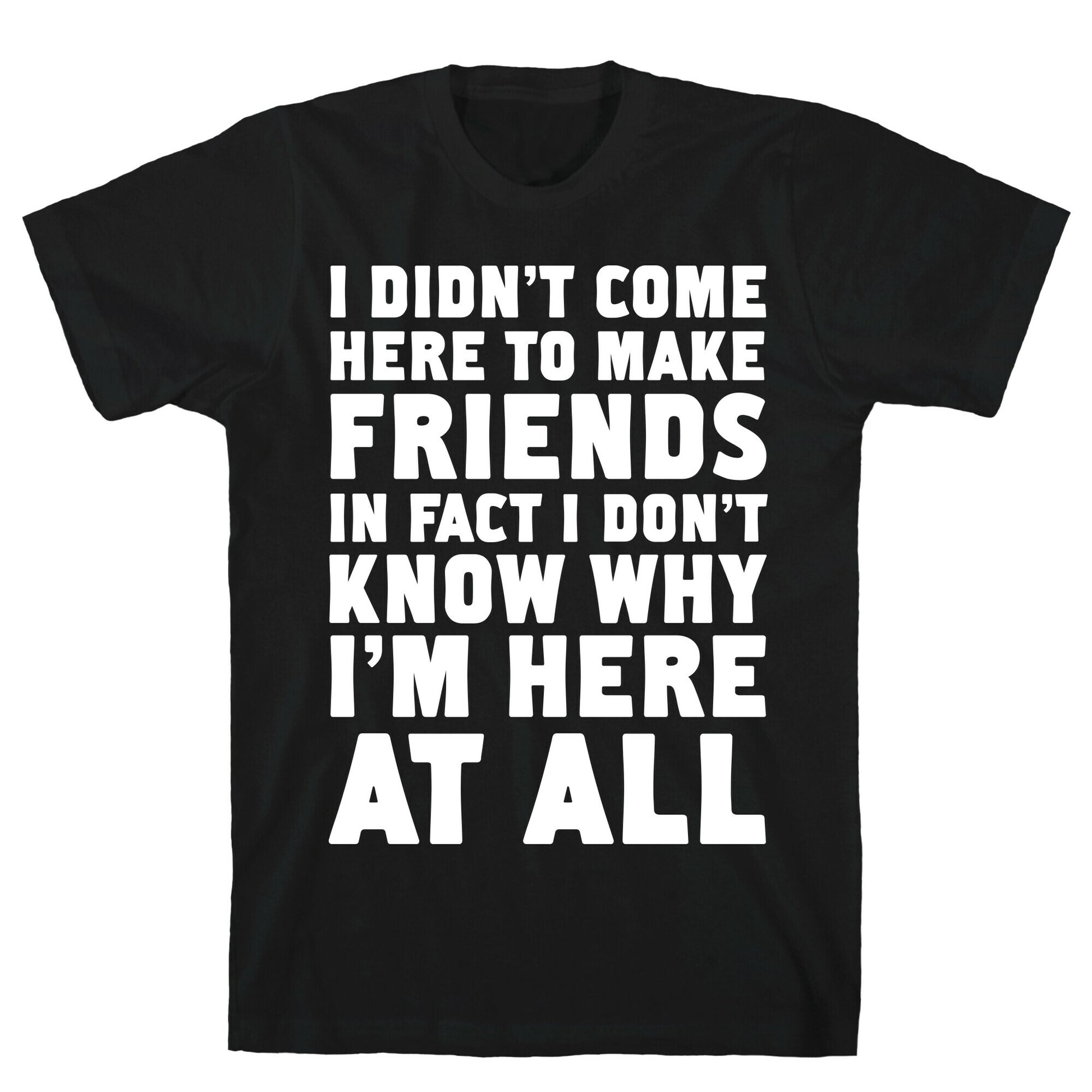 I Didn't Come Here to Make Friends in Fact I Don't Know Why I'm Here at all T-Shirt
