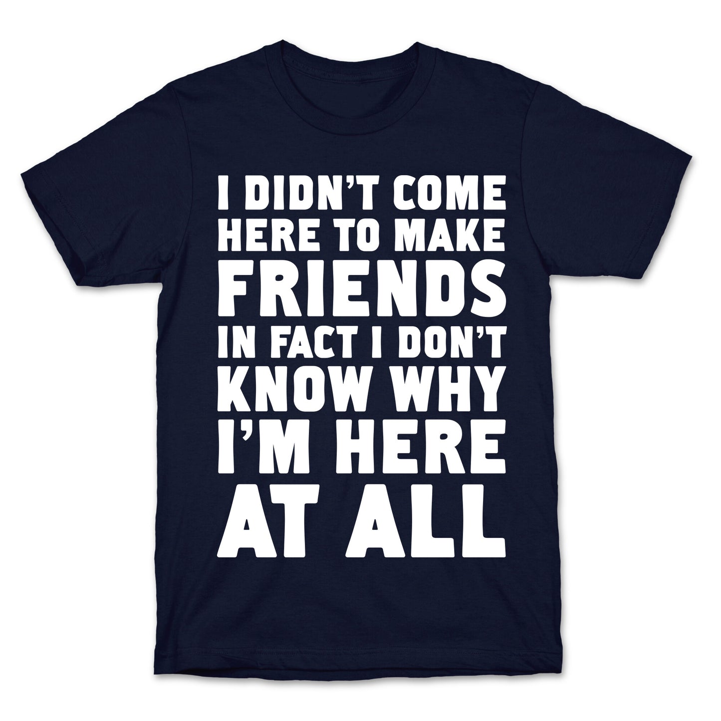 I Didn't Come Here to Make Friends in Fact I Don't Know Why I'm Here at all T-Shirt