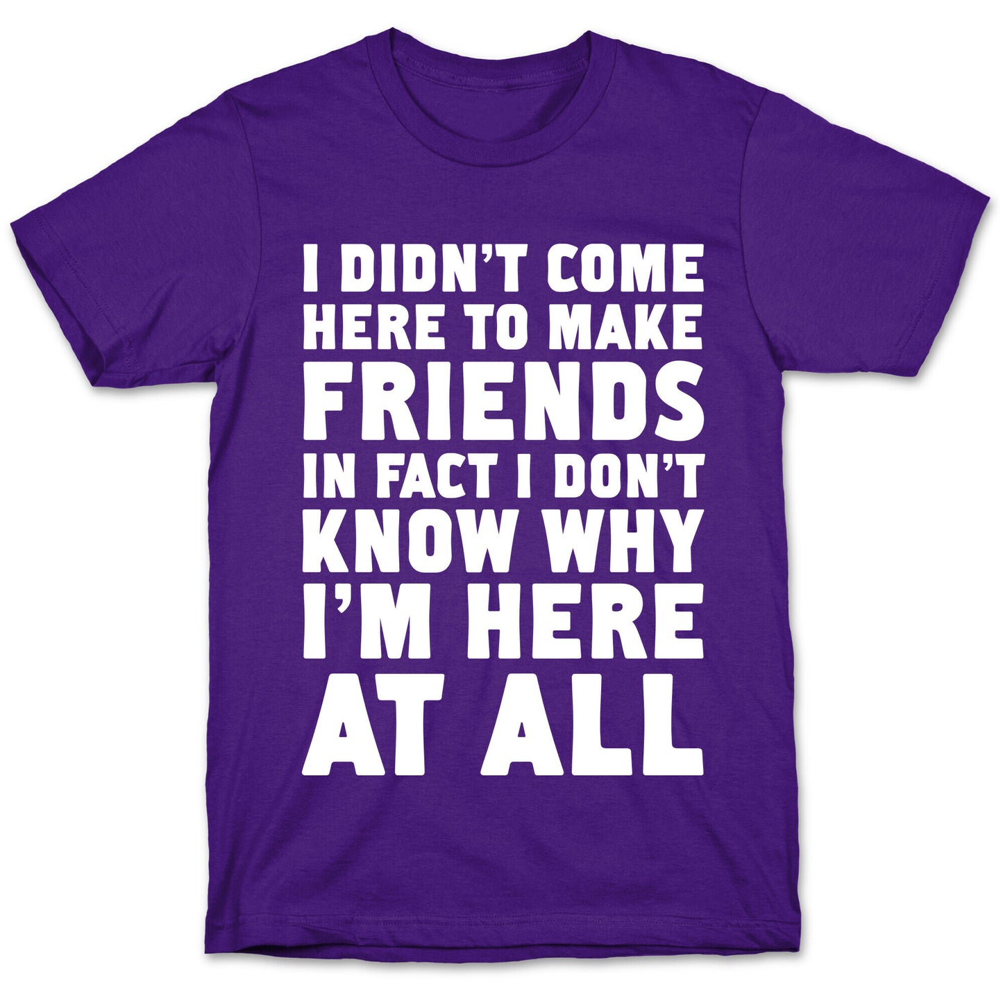 I Didn't Come Here to Make Friends in Fact I Don't Know Why I'm Here at all T-Shirt