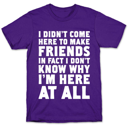 I Didn't Come Here to Make Friends in Fact I Don't Know Why I'm Here at all T-Shirt
