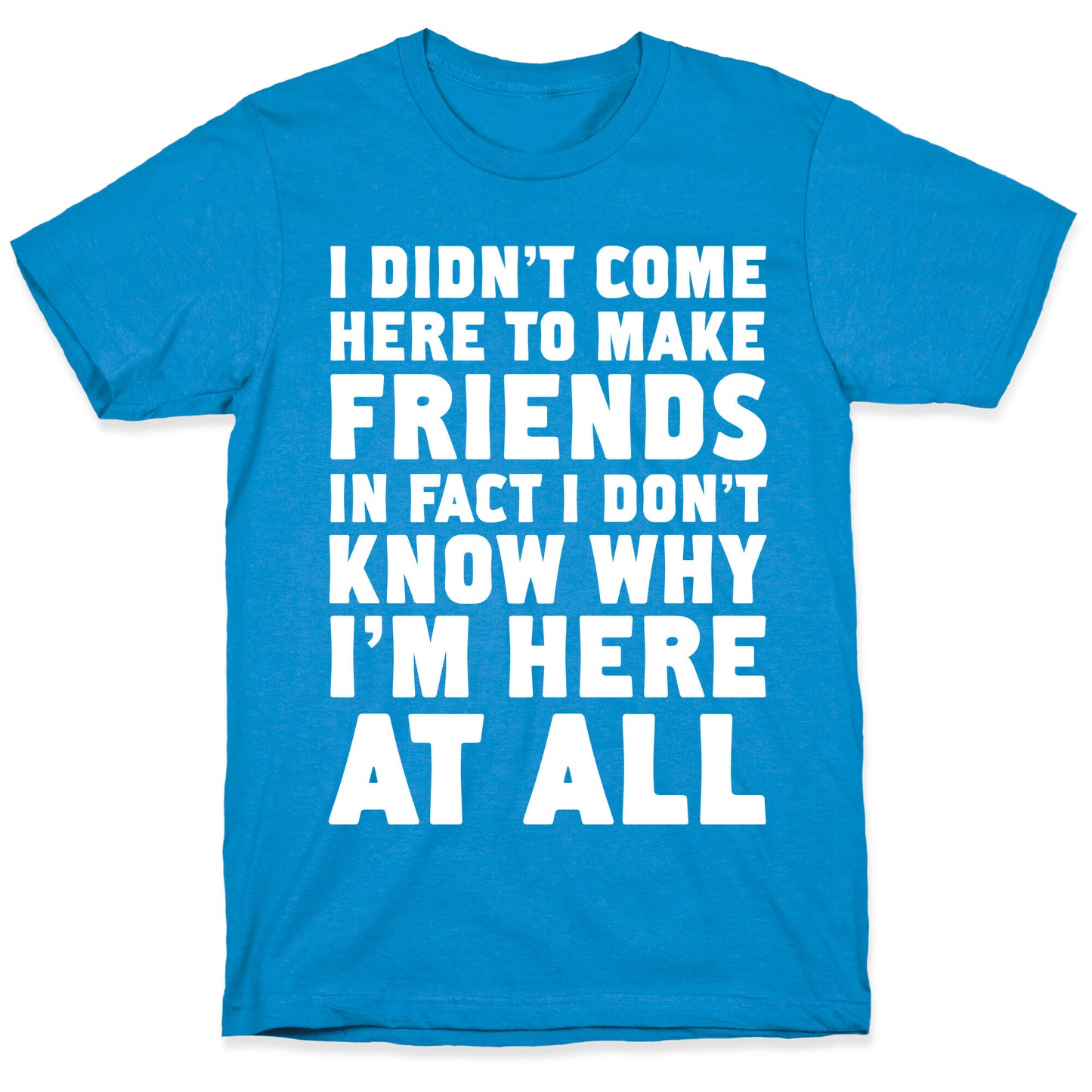 I Didn't Come Here to Make Friends in Fact I Don't Know Why I'm Here at all T-Shirt
