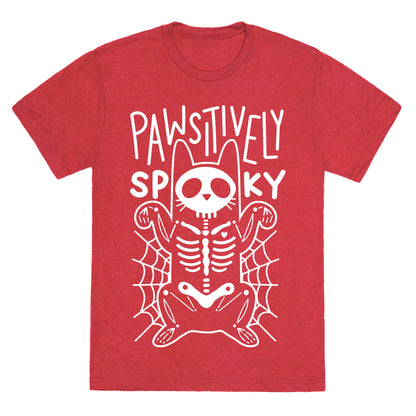 Pawsitively Spooky Unisex Triblend Tee
