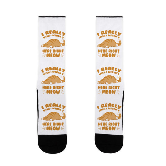 I REALLY WISH I WEREN'T HERE RIGHT MEOW Socks